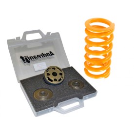 Kit Pistoni Ducati Multistrada 1260 Andreani 412/D10