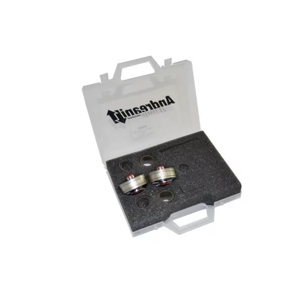 Kit Pistoni Harley Davidson XR 1200 X Andreani 409/HD1