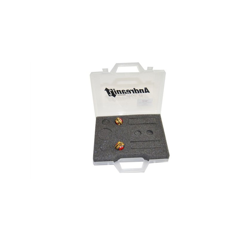 Piston Kit Honda CBR 900 RR / 929 Andreani 409/H04 Piston Kit Honda CBR 900 RR / 929 Andreani 409/H04