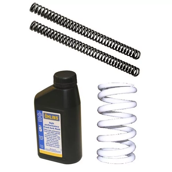 Kit de Pistones Moto Guzzi Breva 1100 / Norge 1200 Andreani 120/G01