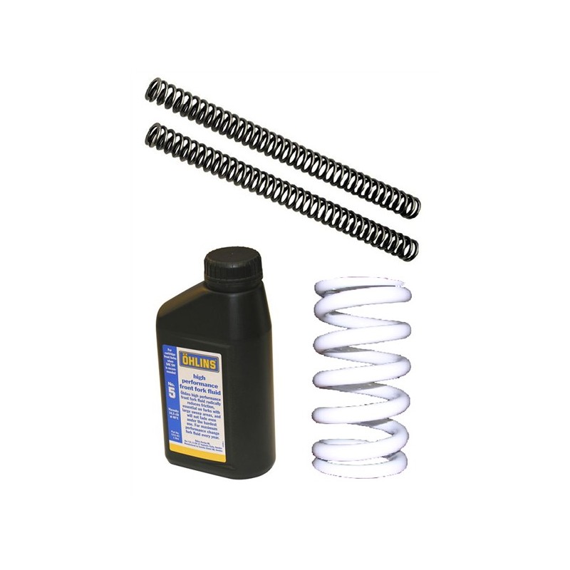 Piston Kit Moto Guzzi Breva 1100 / Norge 1200 Andreani 120/G01 Piston Kit Moto Guzzi Breva 1100 / Norge 1200 Andreani 120/G01