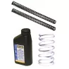Kit de Pistones Moto Guzzi Breva 1100 / Norge 1200 Andreani 120/G01