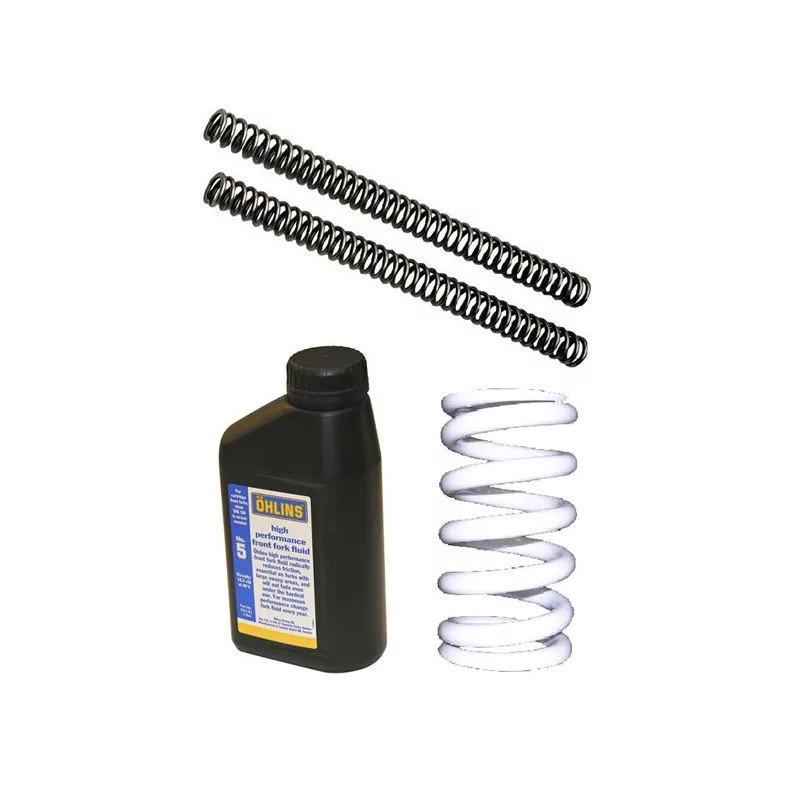 Kit Pistoni Moto Guzzi Sport 1200 Andreani 120/G02 Kit Pistoni Moto Guzzi Sport 1200 Andreani 120/G02