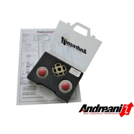 Kit Pistoni KTM SX-F 450 Andreani 413/KTM09C
