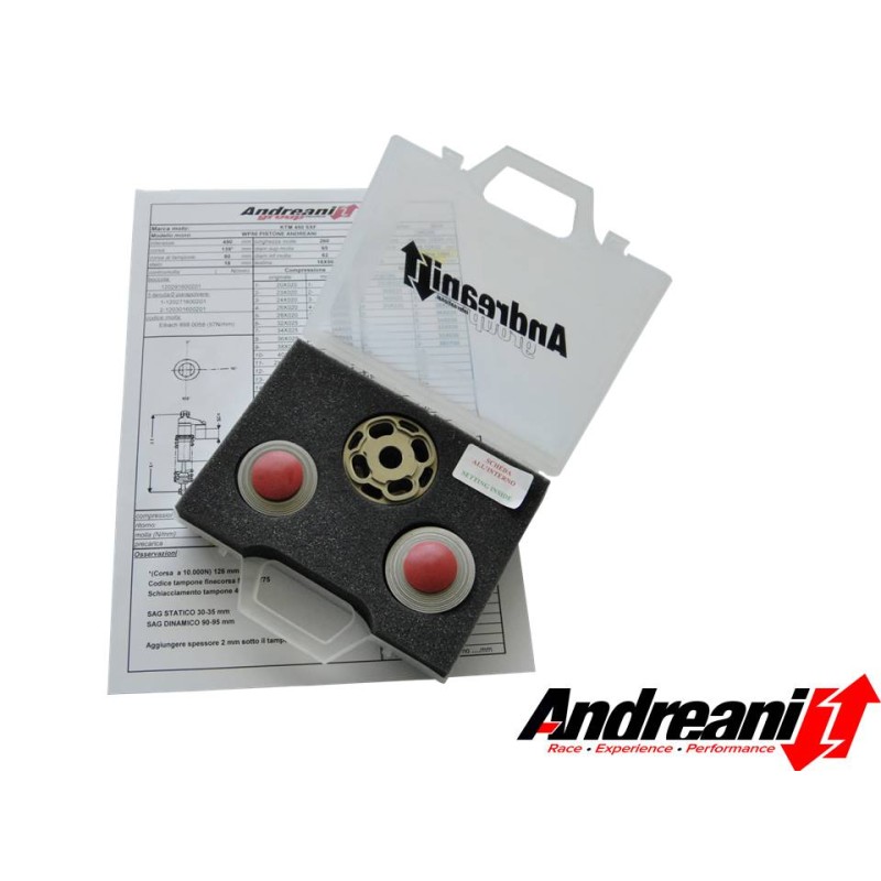 Kit Pistons KTM SX-F 450 Andreani 413/KTM09C Kit Pistons KTM SX-F 450 Andreani 413/KTM09C
