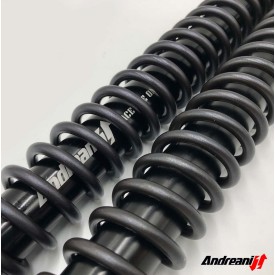 Cartuchos de Horquilla CFMoto 450 MT Rally Race Andreani 125/CF01