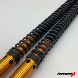 Cartuchos de Horquilla Honda CRF 250 Rally Rally Race Andreani 125/H05