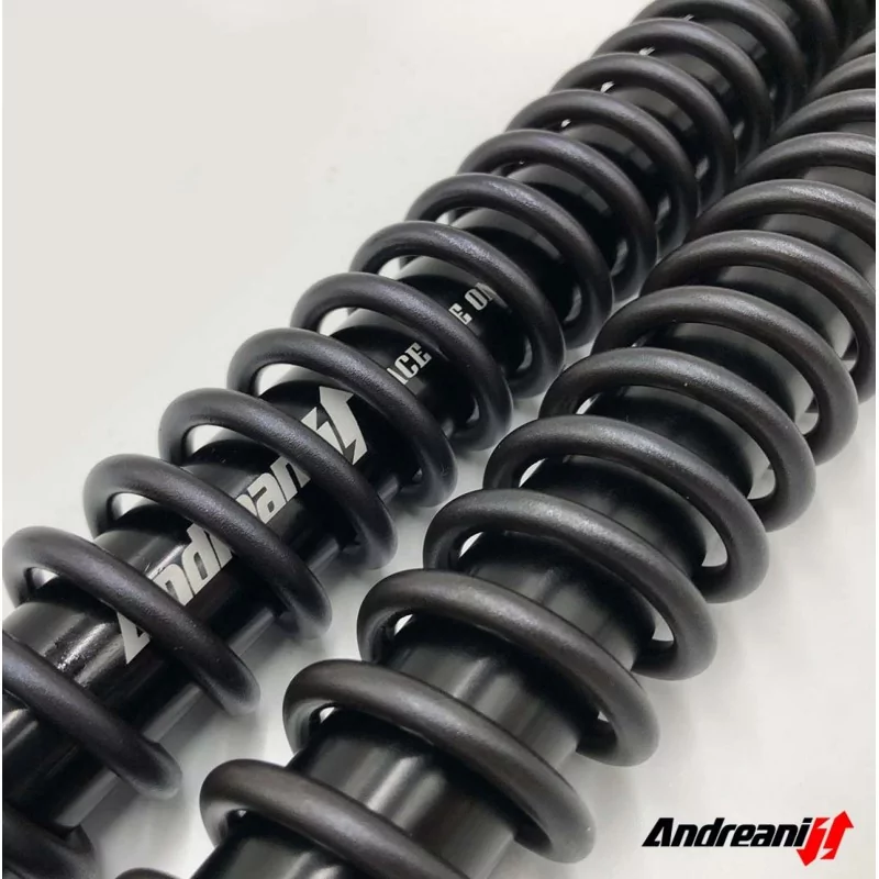 Fork Cartridges KTM 890 Adventure S (High version +20mm) Rally Race Andreani 125/KT10H Fork Cartridges KTM 890 Adventure S (High version +20mm) Rally Race Andreani 125/KT10H