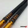 Gabelpatronen Royal Enfield HIMALAYAN 450 - High version + 30 mm Rally Race Andreani 125/RE01H