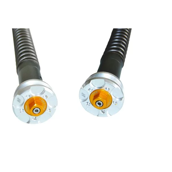 Gabelpatronen Aprilia RS 457 Misano EVO 2 Andreani 305/A19E