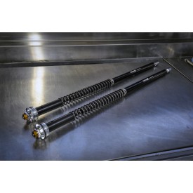 Cartucce Forcella BMW XR 1000 EC Misano EVO Andreani 105/W29E