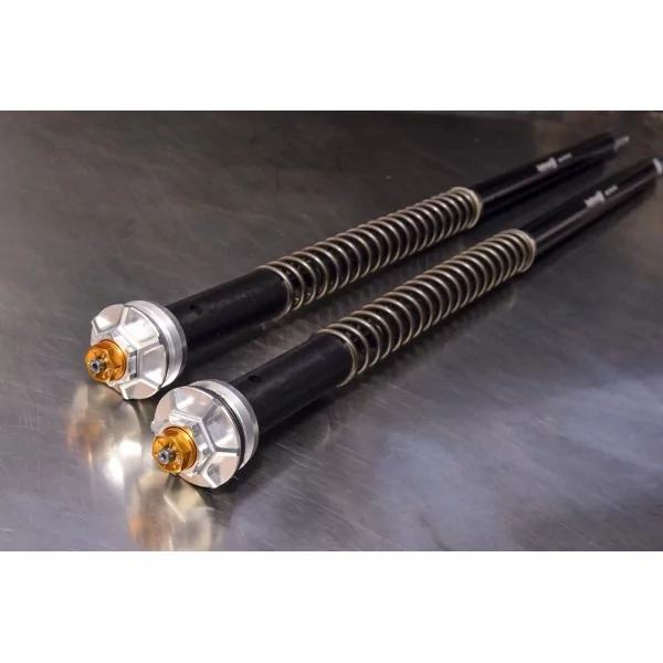Cartuchos de Horquilla Ducati Hypermotard 821 SP (no EVO) Misano EVO Andreani 105/D18E