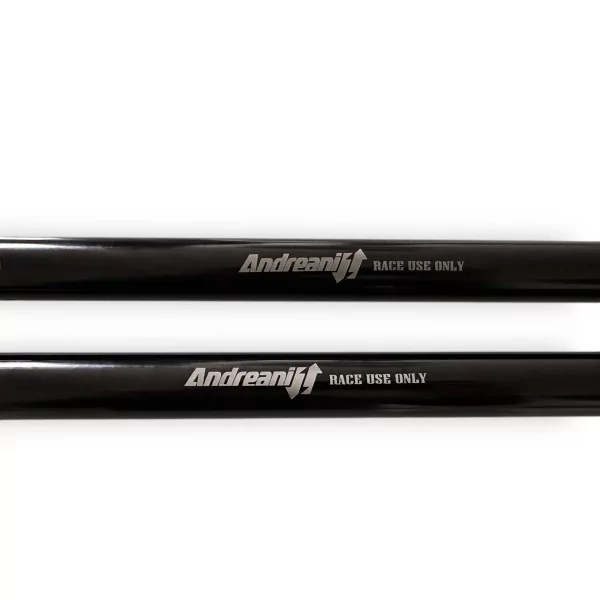 Cartucce Forcella Ducati Monster 600 Misano EVO 2 Andreani 305/D37E