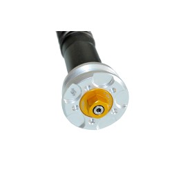 Cartucce Forcella Ducati Multistrada 1100 Misano EVO 2 Andreani 305/D61E