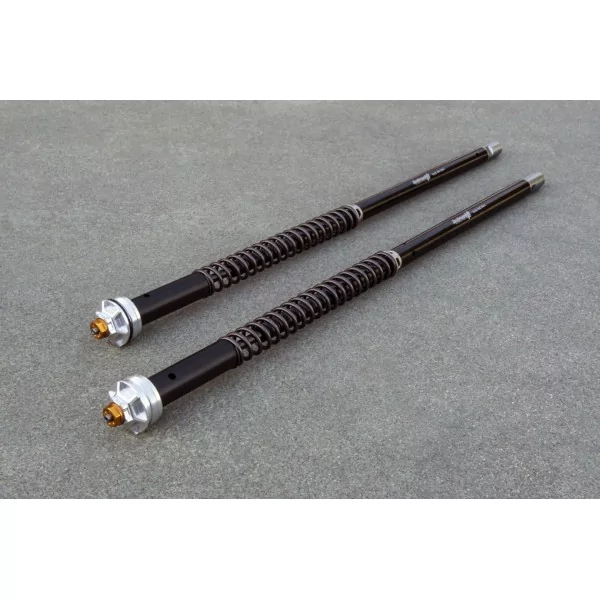 Cartucce Forcella Ducati Multistrada 1200 S Misano EVO Andreani 105/D51E