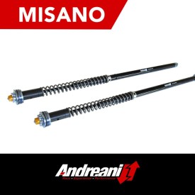 Cartucce Forcella HD Dyna Low Rider Misano Andreani 110/HD1