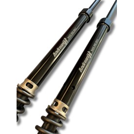 Gabelpatronen HD FLH/FLT Touring tappo nero Misano Andreani 311/HD03E