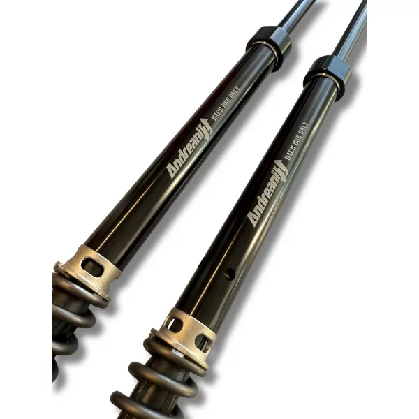 Cartucce Forcella HD FLH/FLT Touring tappo nero Misano Andreani 311/HD03E