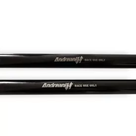 Cartucce Forcella Honda CB 1100 Misano EVO 2 Andreani 305/H12E