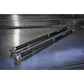 Cartouches de Fourche Honda CB 1100 RS Misano EVO Andreani 105/H42E