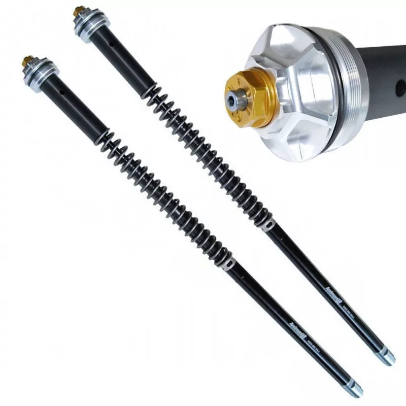 Gabelpatronen Honda CBR 600 F/Sport Misano EVO 2 Andreani 305/H52E Gabelpatronen Honda CBR 600 F/Sport Misano EVO 2 Andreani 305/H52E