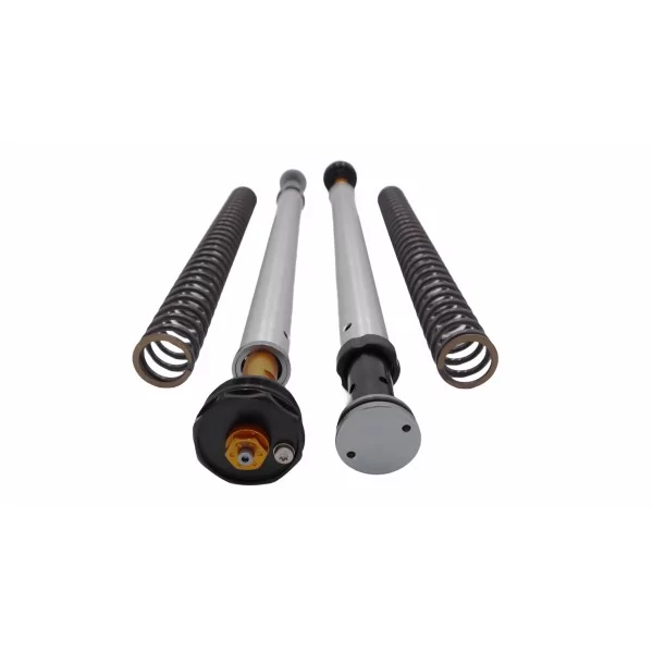 Fork Cartridges Honda CRF 300 L Misano EVO Andreani 105/H57E