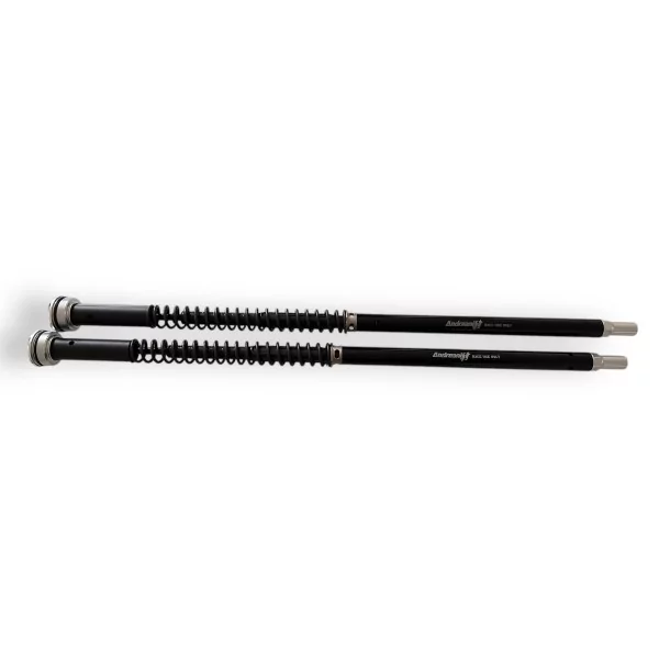 Fork Cartridges Honda Forza 750 Misano EVO 2 Andreani 310/H05E