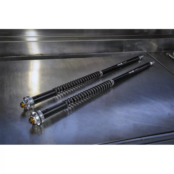 Cartucce Forcella Husqvarna Nuda 900 Misano EVO 2 Andreani 305/HQ5E