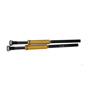 Cartucce Forcella Kawasaki ZX-6RR / ZX-6 R (636) Misano EVO 2 Andreani 315/K01E
