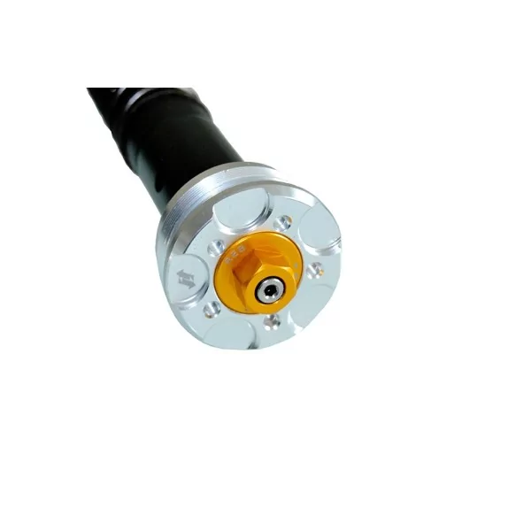 Gabelpatronen Kawasaki Z 650 Misano EVO 2 Andreani 305/K24E