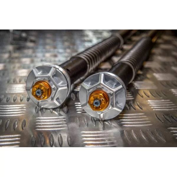 Fork Cartridges Ktm 390 Adventure Misano EVO Andreani 105/KT16E