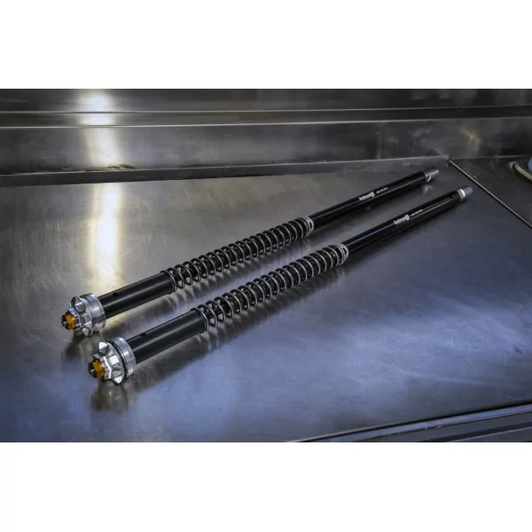 Gabelpatronen Suzuki GSX-R 750 Misano EVO 2 Andreani 305/S29E