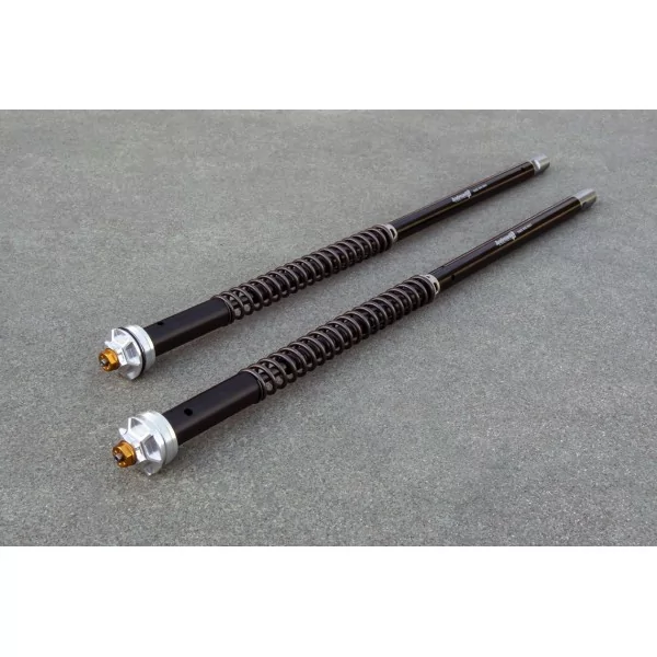 Cartucce Forcella Triumph Sprint RS 955i Misano EVO 2 Andreani 305/T12E