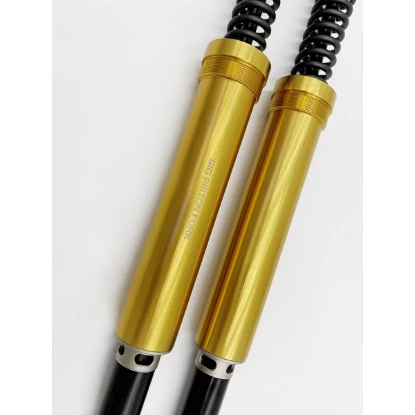 Cartuchos de Horquilla Triumph Street Triple 765 RS Misano EVO 2 Andreani 315/T01E