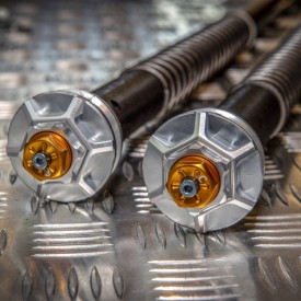 Cartucce Forcella Triumph Speed Triple 1050 Misano EVO 2 Andreani 305/T42E