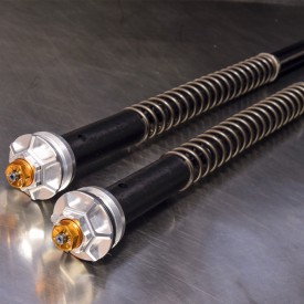 Fork Cartridges Triumph Tiger 900 GT PRO Misano EVO Andreani 105/T35E