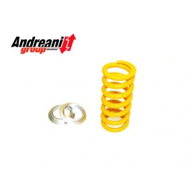 Piston Kit Ducati Multistrada 1260 S Andreani 412/D12