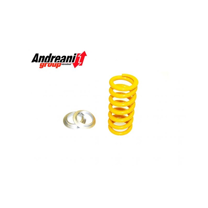 Kit Pistoni Ducati Multistrada 1260 S Andreani 412/D12 Kit Pistoni Ducati Multistrada 1260 S Andreani 412/D12