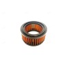 Filtre à Air ROYAL ENFIELD BULLET 500 Sprintfilter CM194T12
