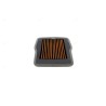 Air Filter TRIUMPH DAYTONA 660 Sprintfilter SM280T12