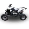 Sportauspuff GPR Baja 300 2005/2024