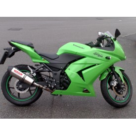 Sportauspuff GPR Z250 2013/2016