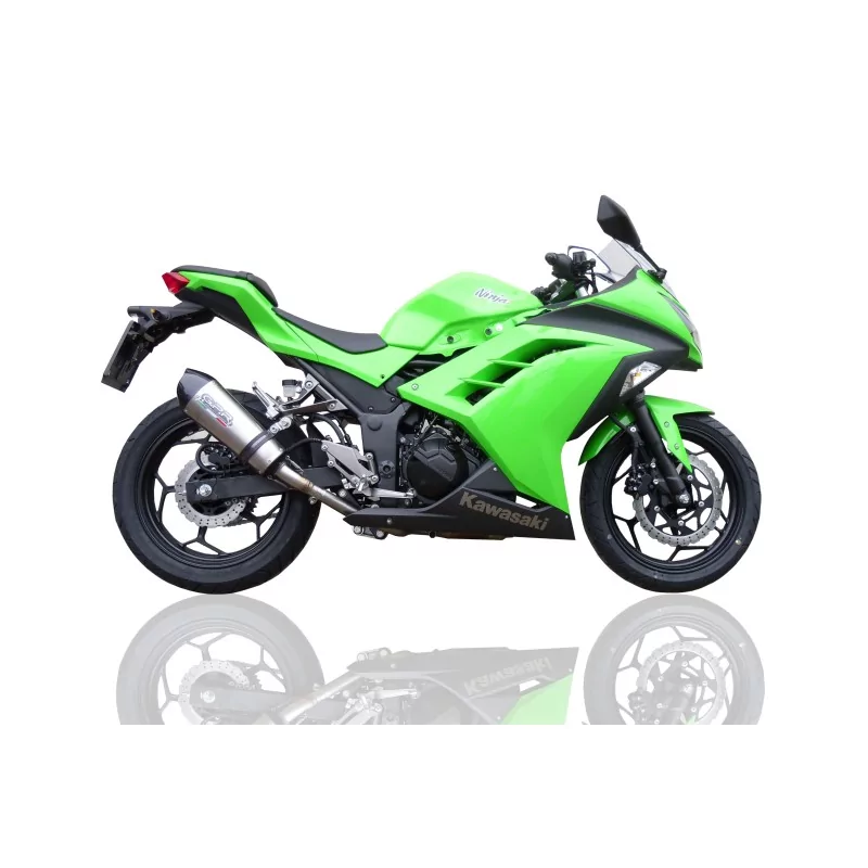 Scarico GPR Ninja 300 R 2012/2017 e3