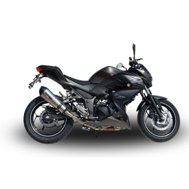 Scarico GPR Z 300 2014/2017 e3