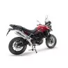 Sportauspuff GPR Tiger 900 2024/2025 GT / Pro / Rally Pro