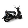 Sportauspuff GPR Zuma 125 2009/2015