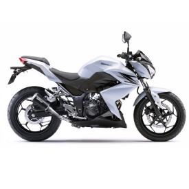 Sportauspuff Leovince Kawasaki Z 250