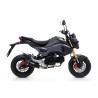 Exhaust Arrow Honda MSX 125 / GROM 125