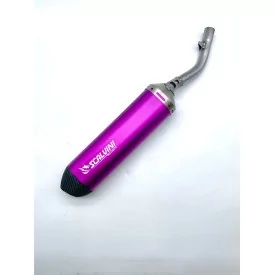 Sportauspuff Scalvini Beta RR 200 250 300