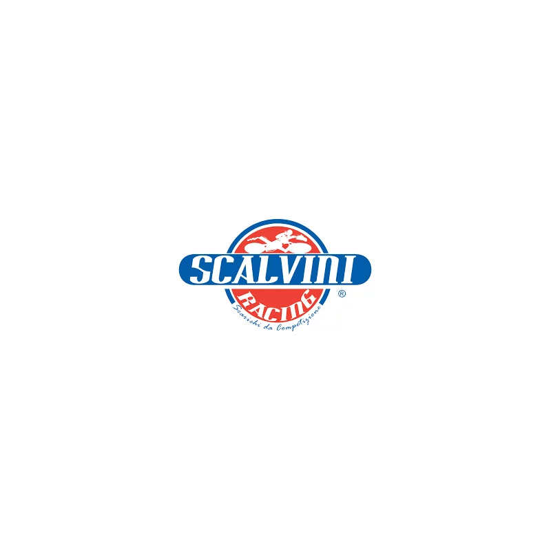Scalvini Racing Husqvarna SMS 125 2013 Carbon/Inox 002.064323